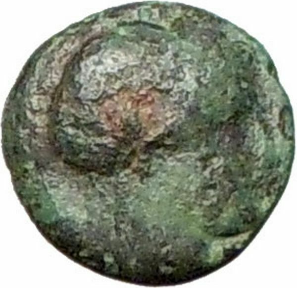 Greek City 350BC Authentic Ancient Greek Coin Bull APOLLO i28183