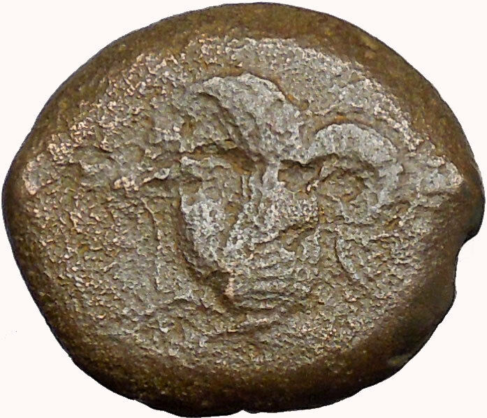 Syracuse in Sicily 344BC Timoleon Ancient Greek Coin Hippocamp Sea horse i33619