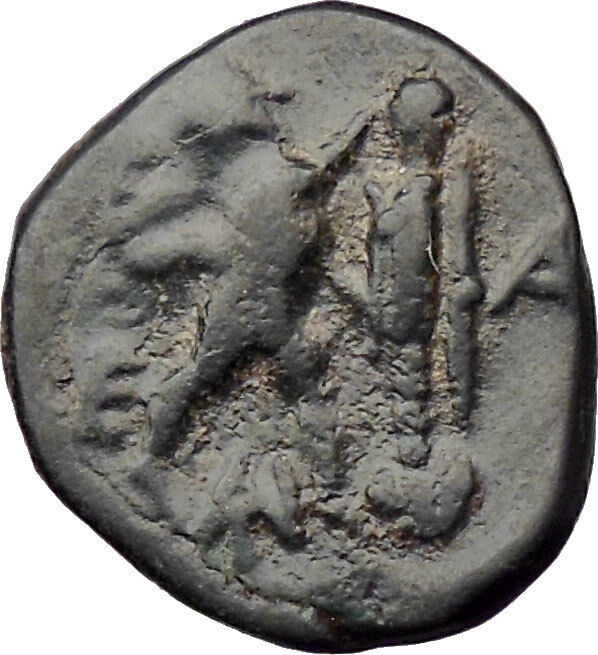 Antigonos II Gonatas Macedon King Ancient Greek Coin Nude PAN Athena i30538