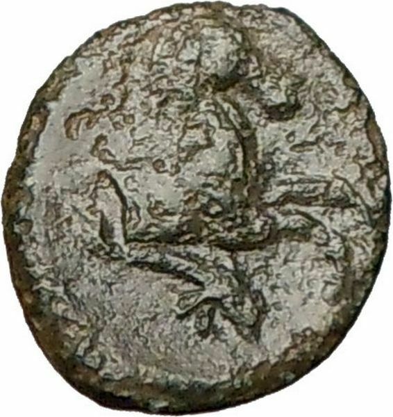 PANORMOS Sicily 336BC Apollo Horse Dolphin Rare Ancient Greek Coin i24633