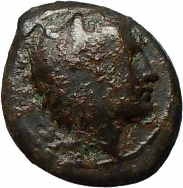 THERMAI in SICILY 407BC HERA & HERCULES Rare Ancient Greek Coin i24877