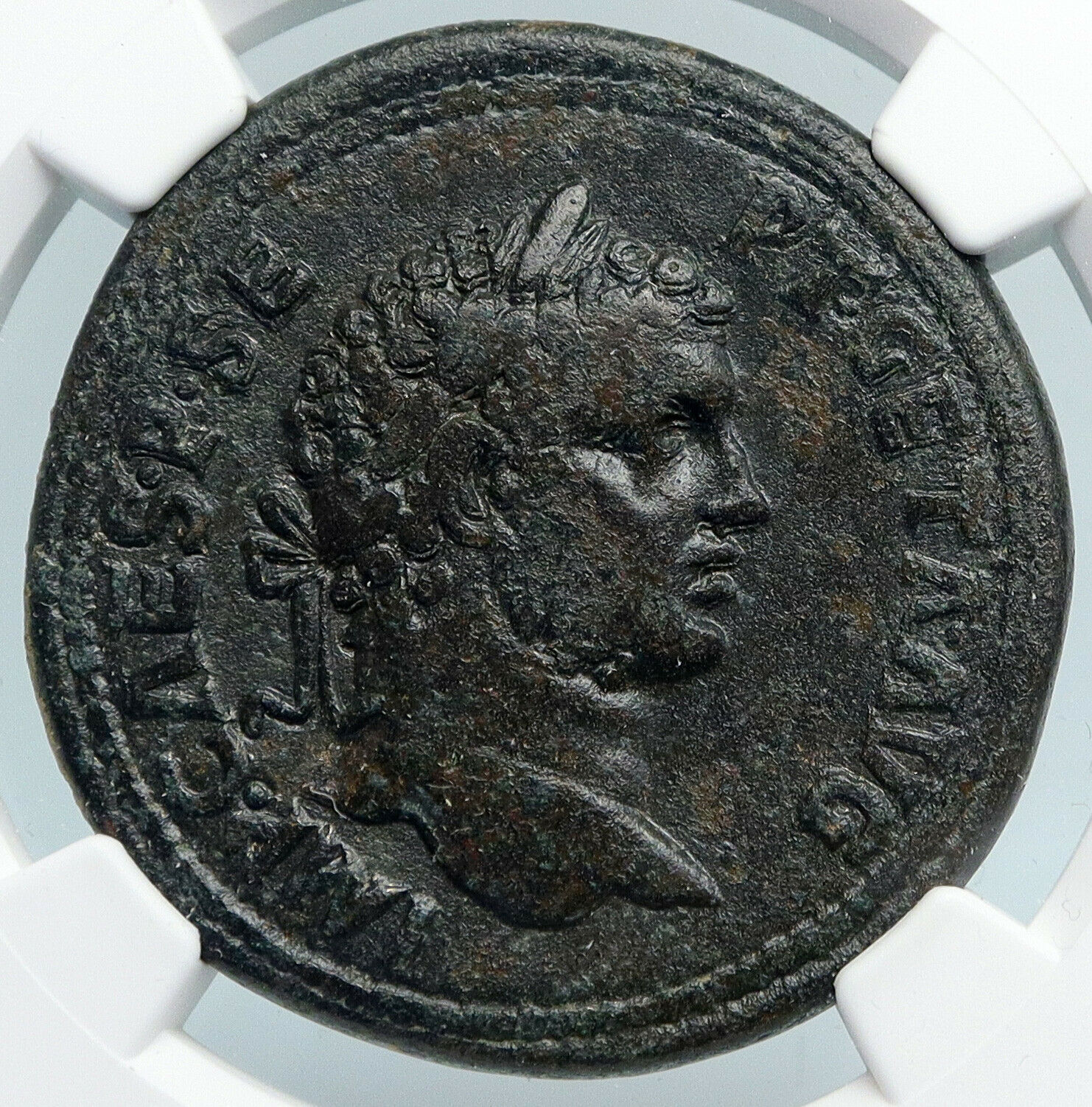 GETA 209AD Authentic Ancient Roman Coin of PISIDIA ANTIOCHIA Eagles NGC i89851