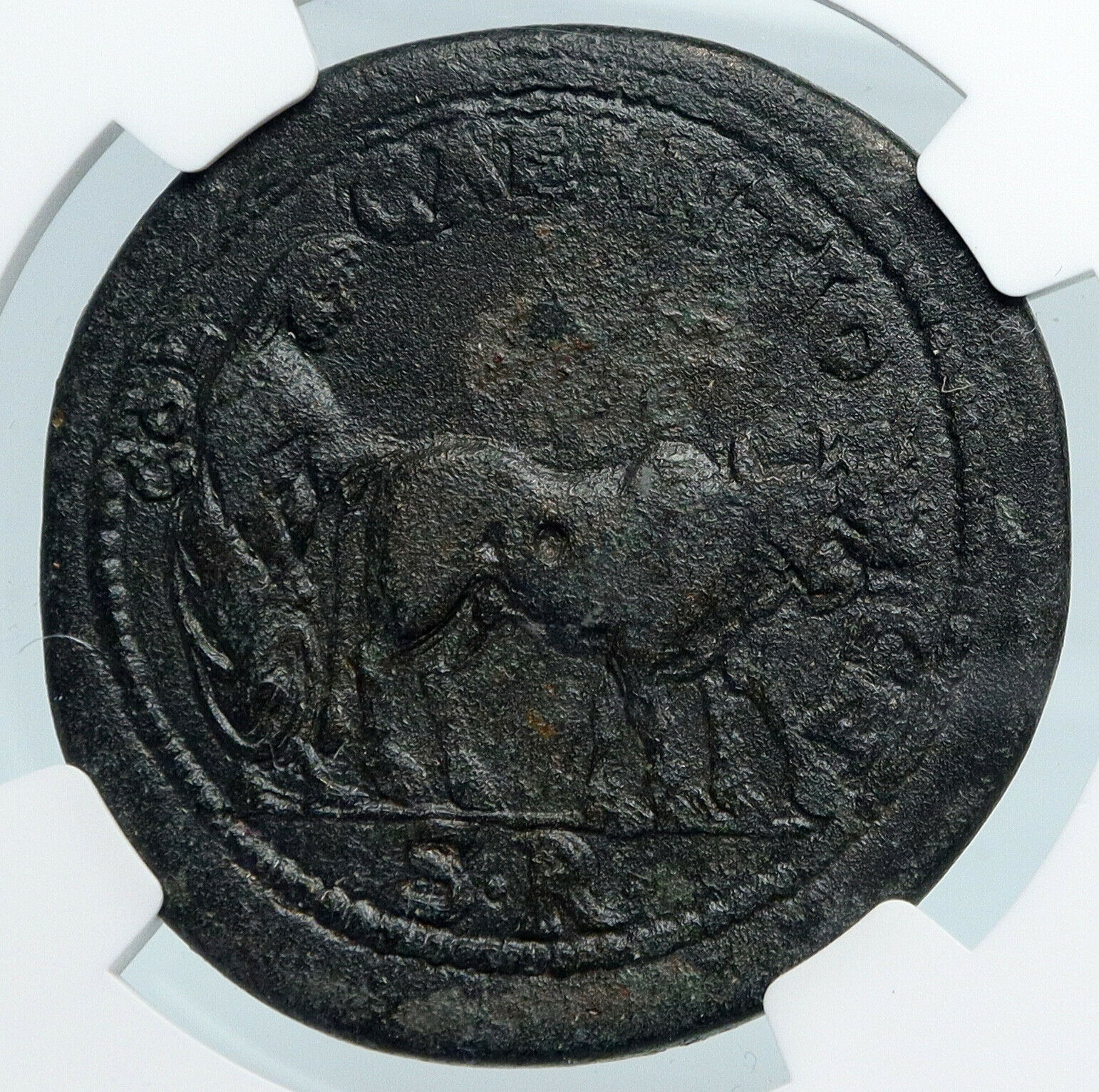 GETA 209AD Authentic Ancient Roman Coin of PISIDIA ANTIOCHIA Eagles NGC i89851