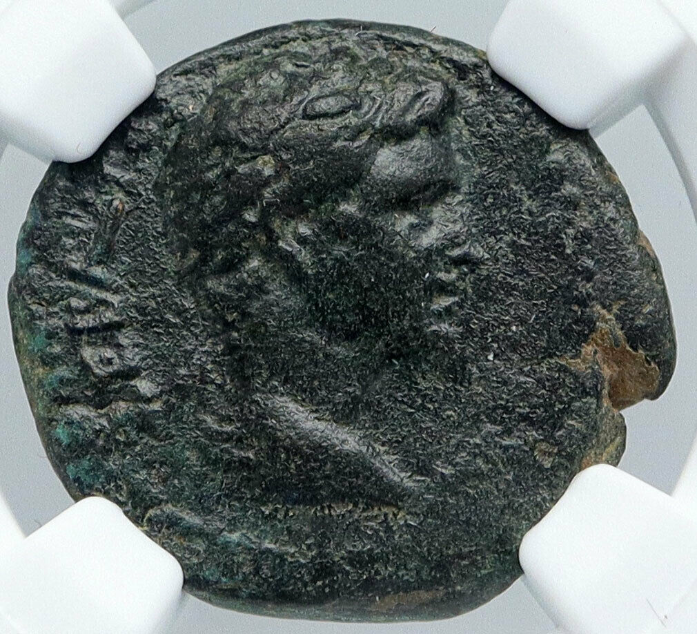 APAMEIA in PHRYGIA 27BC Ancient Roman Coin of Augustus ARTEMIS Statue NGC i89153