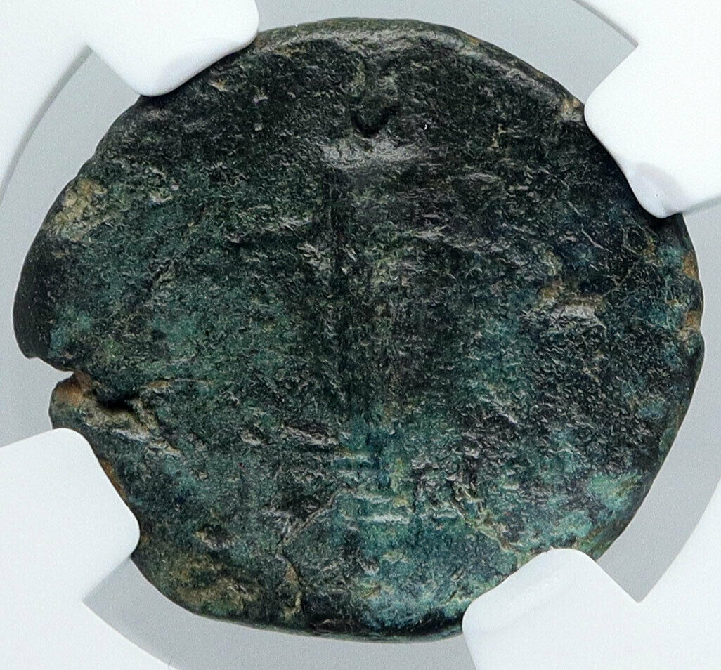 APAMEIA in PHRYGIA 27BC Ancient Roman Coin of Augustus ARTEMIS Statue NGC i89153