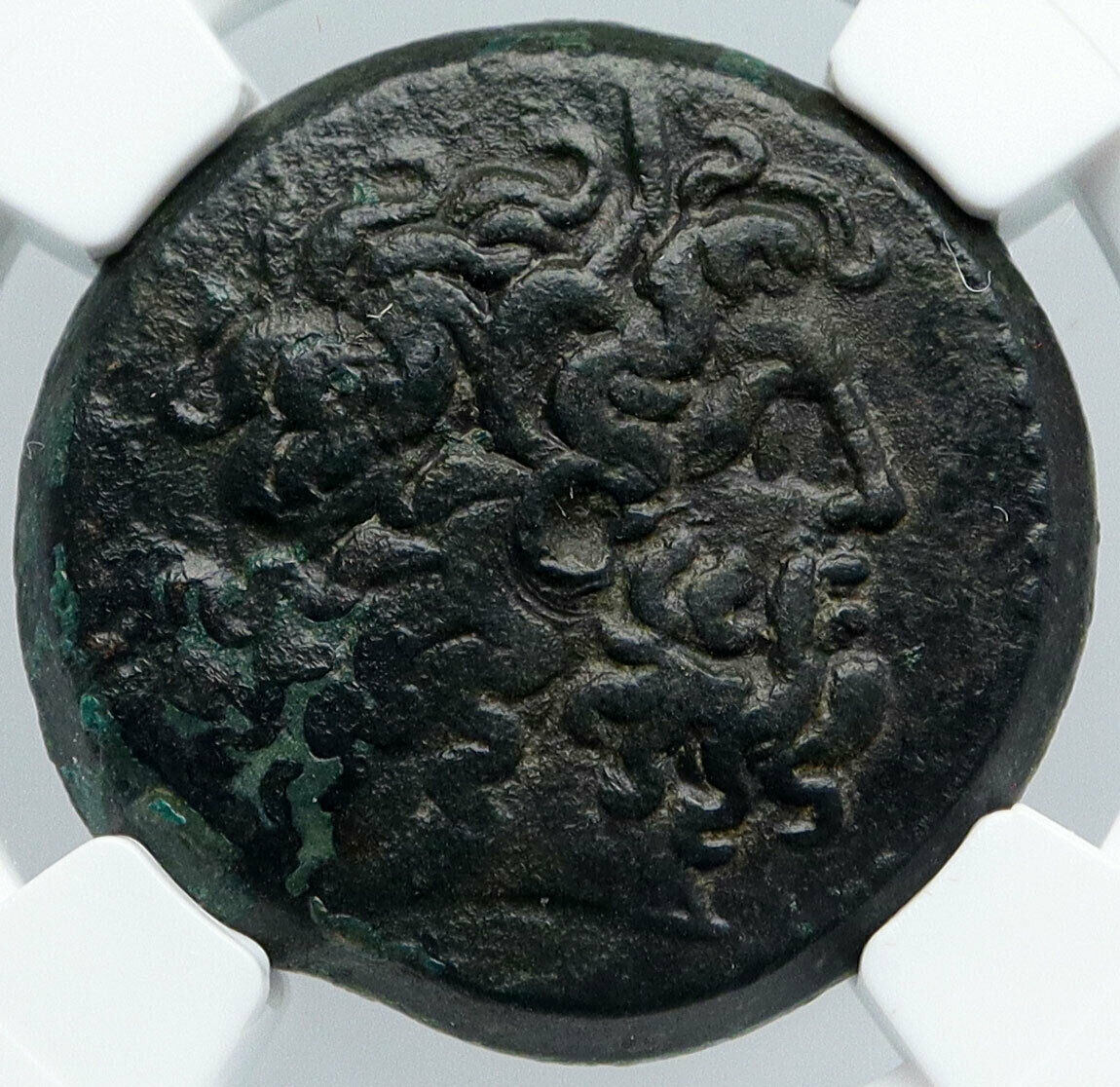 Ptolemy III Euergetes 246B Alexandria Egypt Paphos Ancient Greek Coin NGC i89156