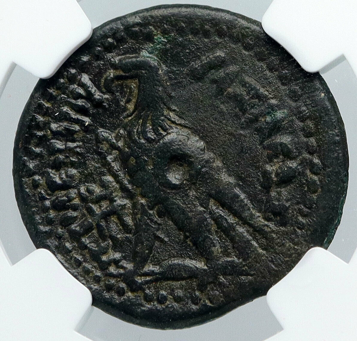 Ptolemy III Euergetes 246B Alexandria Egypt Paphos Ancient Greek Coin NGC i89156