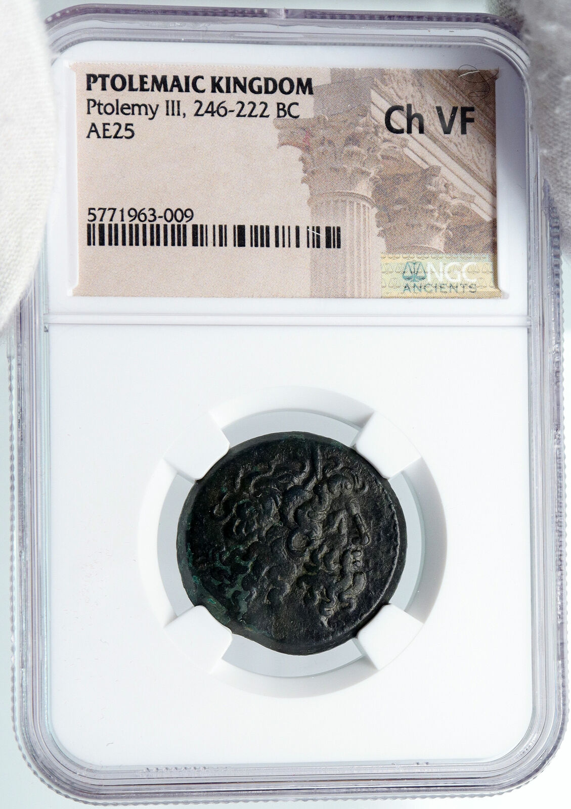 Ptolemy III Euergetes 246B Alexandria Egypt Paphos Ancient Greek Coin NGC i89156