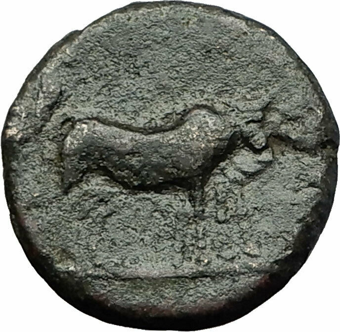 AUGUSTUS 27BC Philippi Macedonia PRIESTS Founding City Oxen Roman Coin i59282