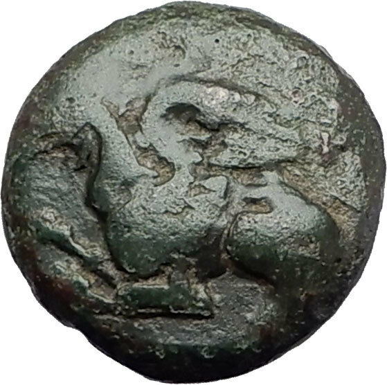 ABDERA in Thrace 410BC Authentic Ancient Greek Coin GRIFFIN & YOUNG MALE i61400