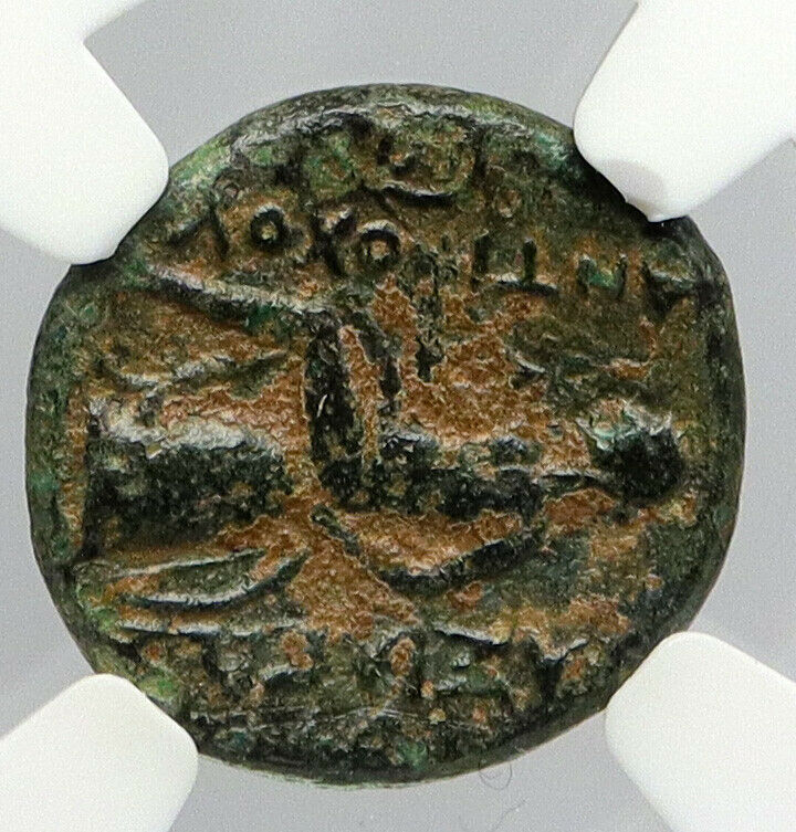 ANTIOCHOS I Soter 281BC Seleukid Authentic Ancient Greek Coin Apollo NGC i90644