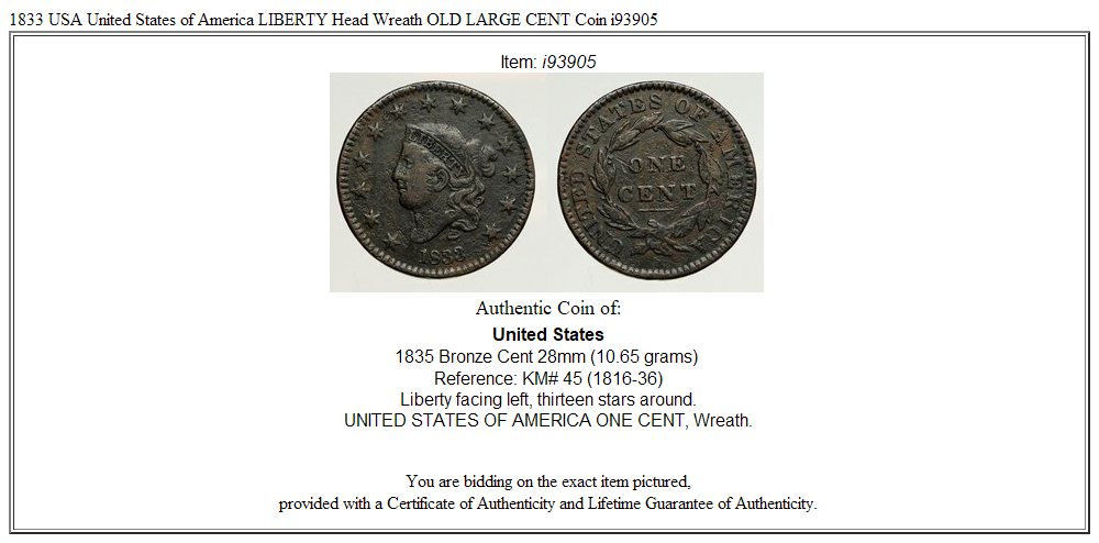 1833 USA United States of America LIBERTY Head Wreath OLD LARGE CENT Coin i93905