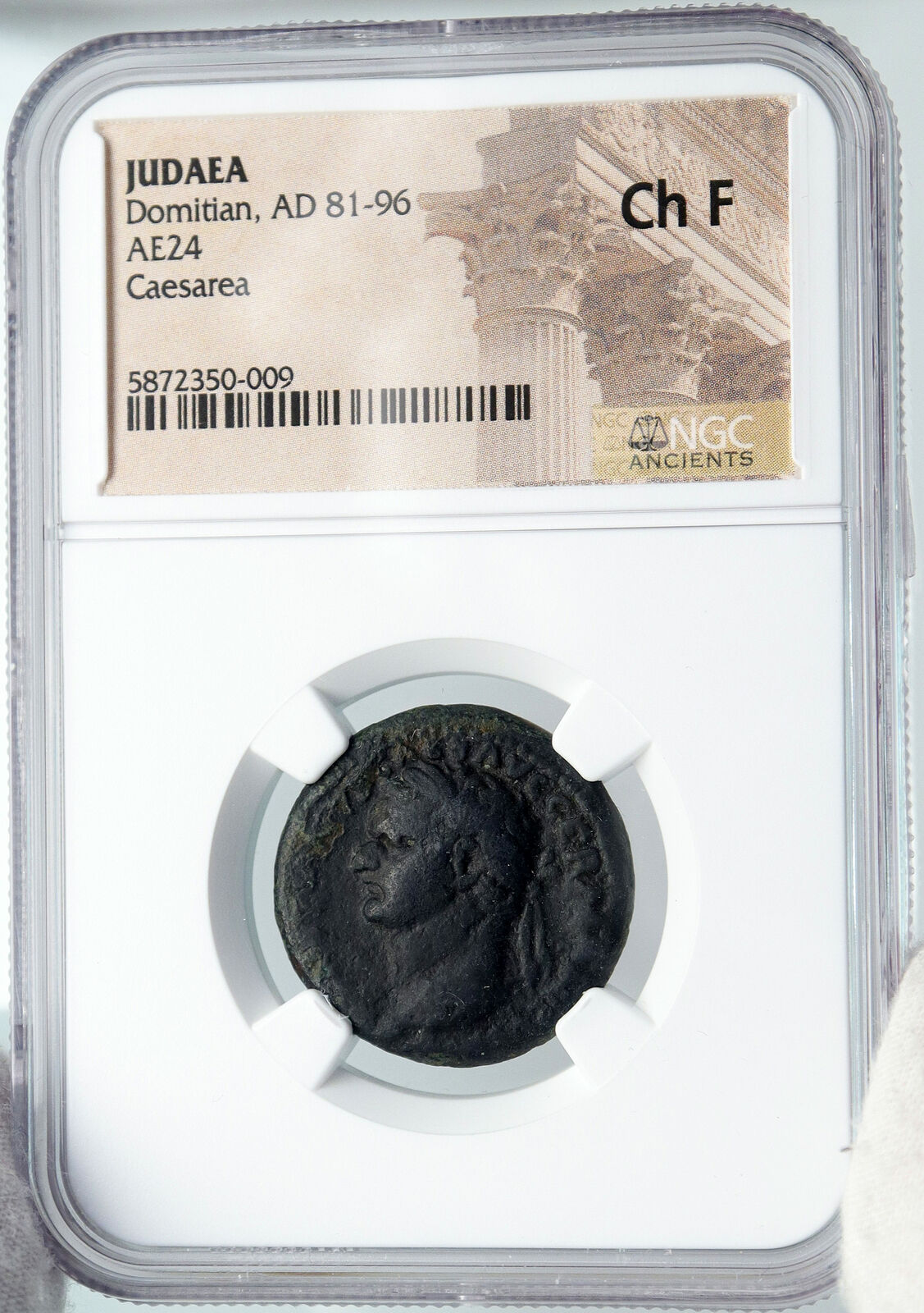 DOMITIAN Jewish War JUDAEA CAPTA Ancient Roman Coin Caesarea Maritima NGC i88681