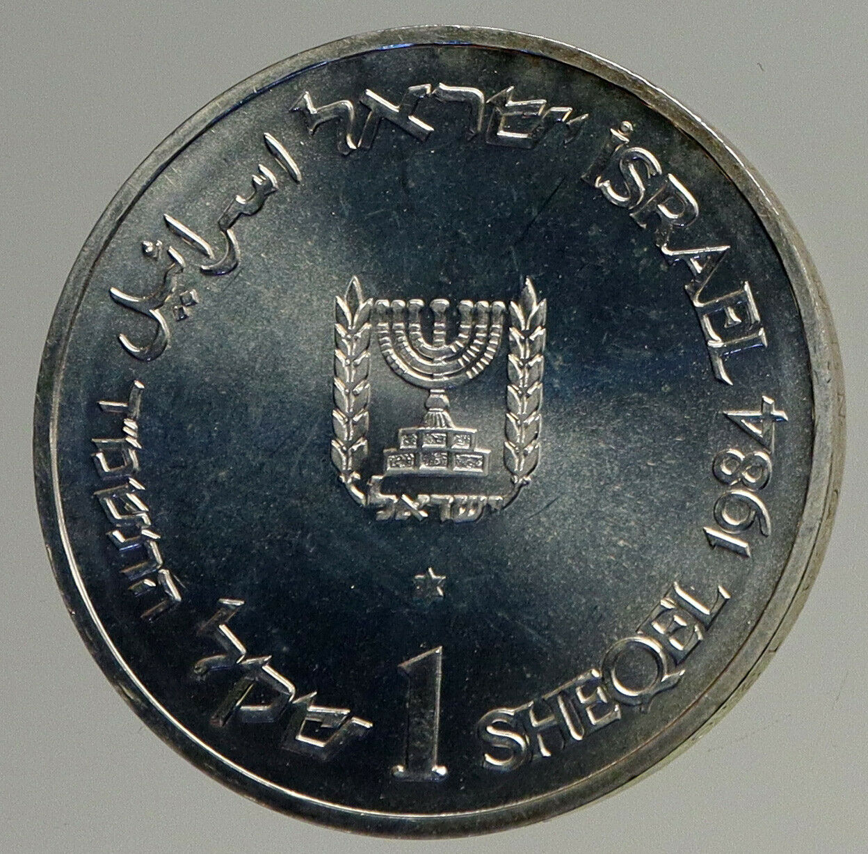 1984 ISRAEL Branches Roots Flora VINTAGE Old Menorah Silver Shekel Coin i93568