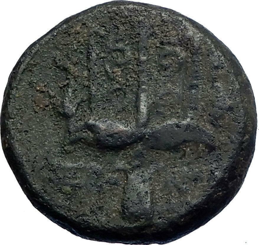 Syracuse in Sicily 270BC Hieron II Ancient Greek Coin Poseidon Trident i74135