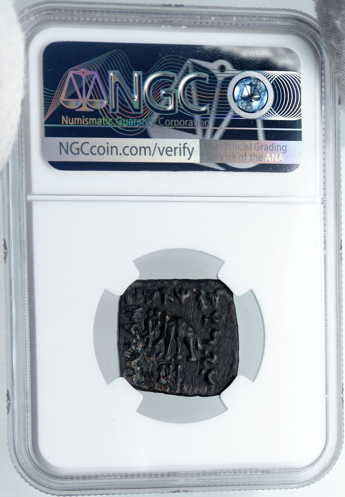 HELIOKLES II 90BC Indo Greek Kingdom India ZEUS ELEPHANT Ancient Coin NGC i88666