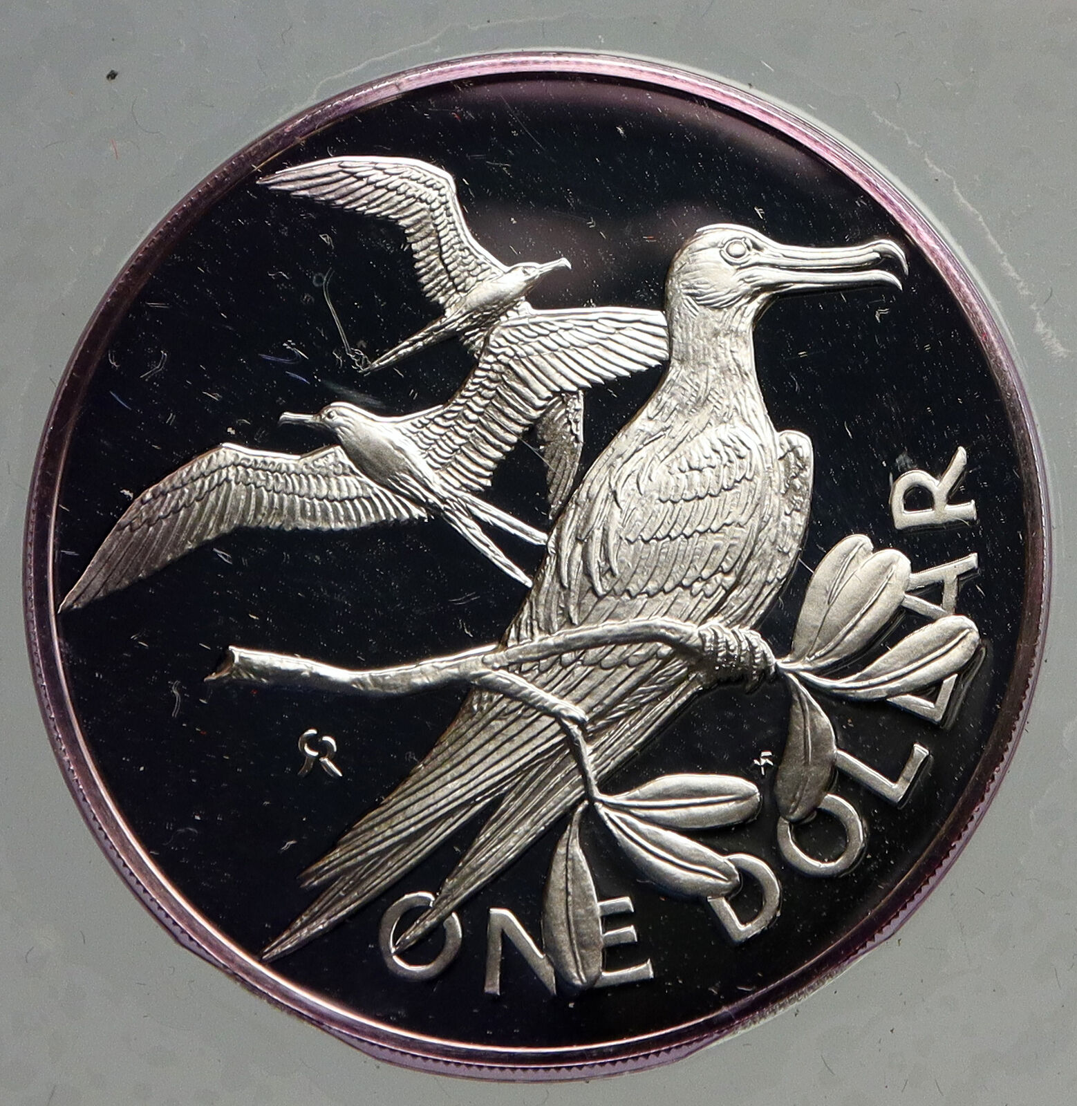 1973 British Virgin Islands UK Queen Elizabeth II BIRD Proof Silver Coin i93942