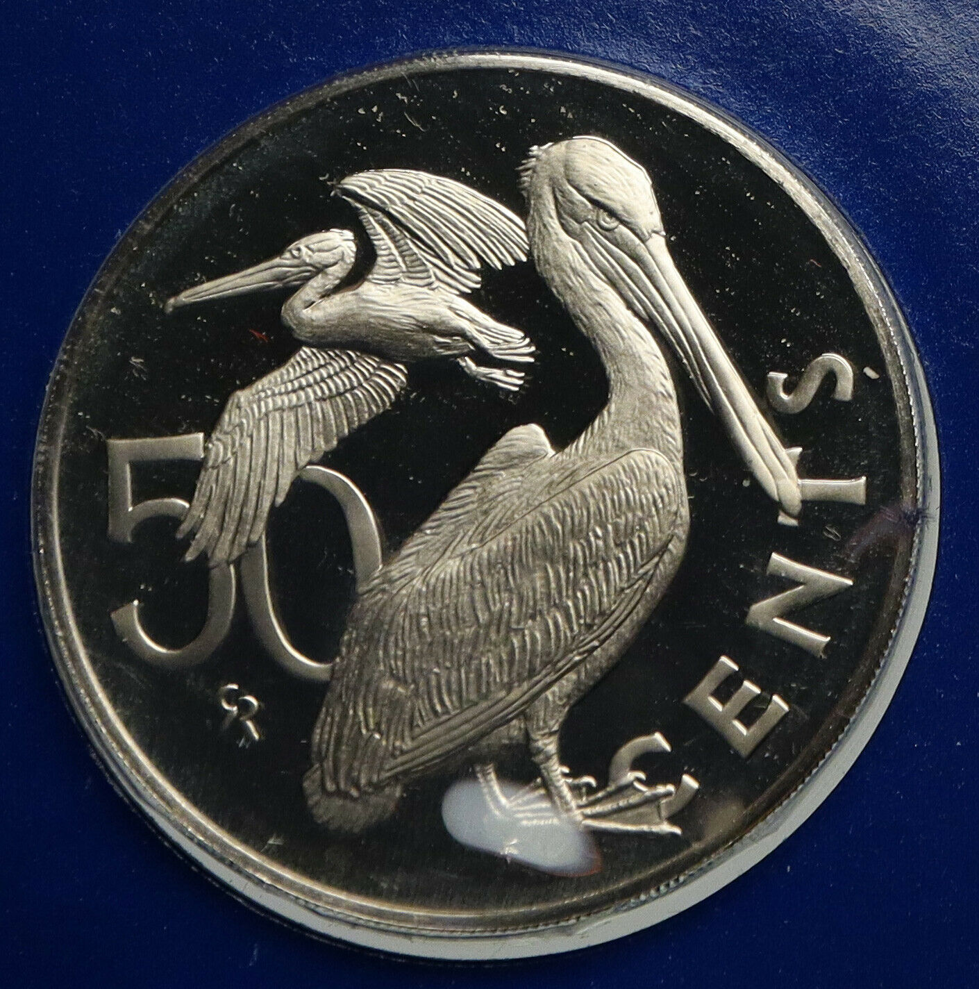 1984 British Virgin Islands Queen Elizabeth II Pelican Proof 50 Cent Coin i93946