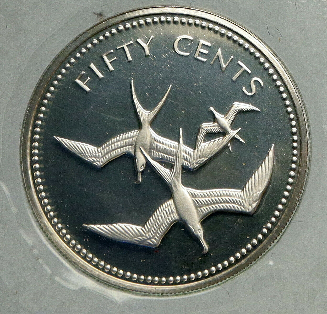 1974 BELIZE Avifauna FRIGATE BIRDS Old VINTAGE Proof Silver 50 Cents Coin i93956