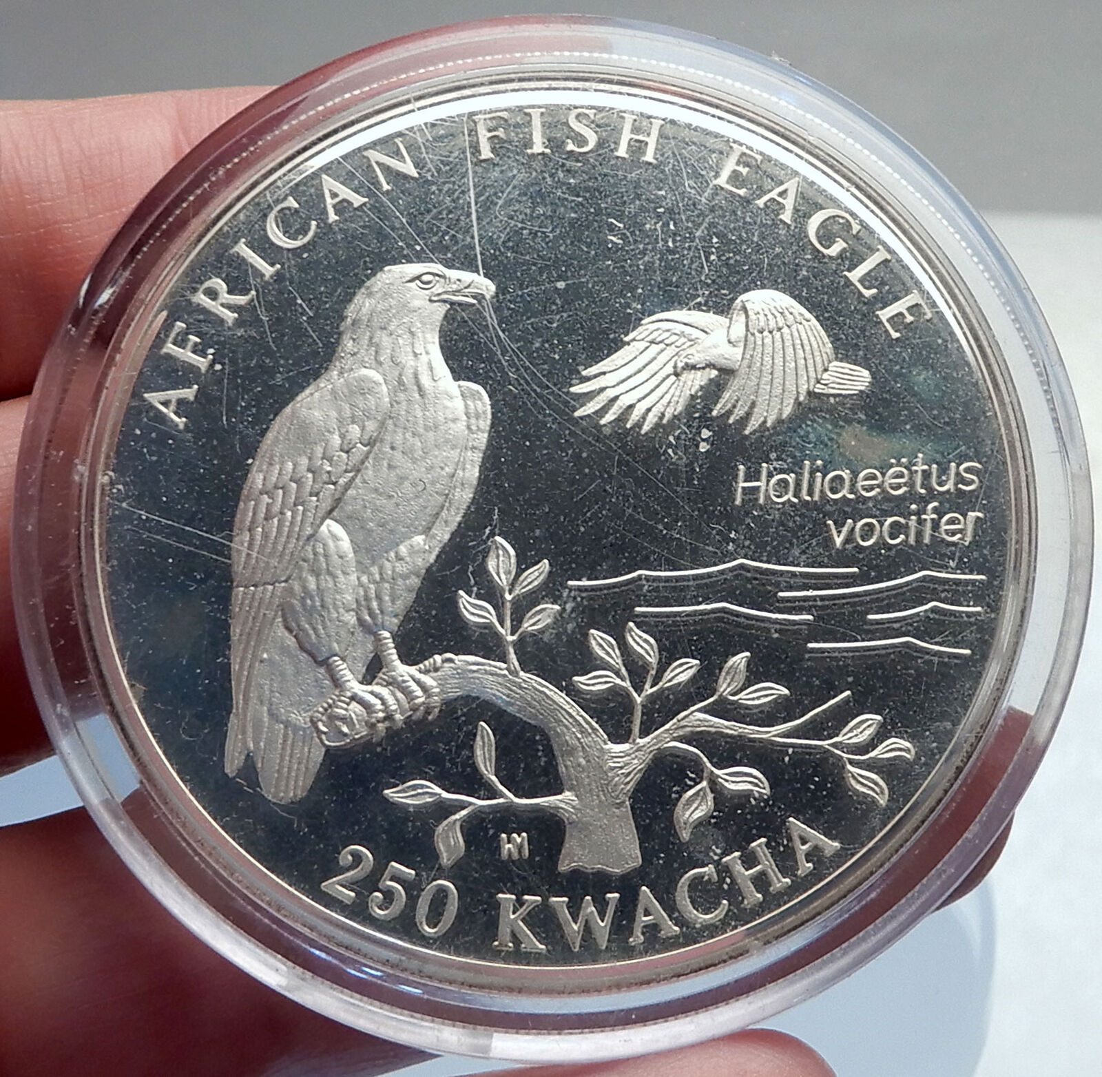 1993 ZAMBIA African HUGE 250 Kwacha Silver MEDALLION COIN w Fish Eagle i69817