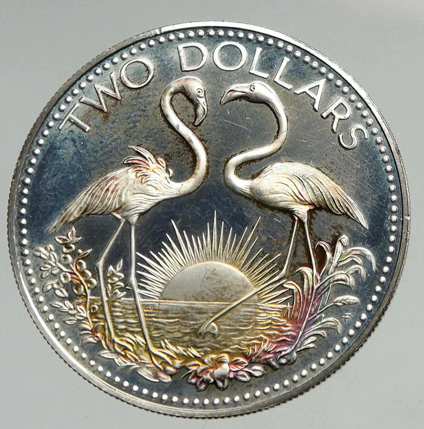 1974 The BAHAMAS Islands TWO FLAMINGOS Vintage Proof Silver 2 Dollar Coin i94618