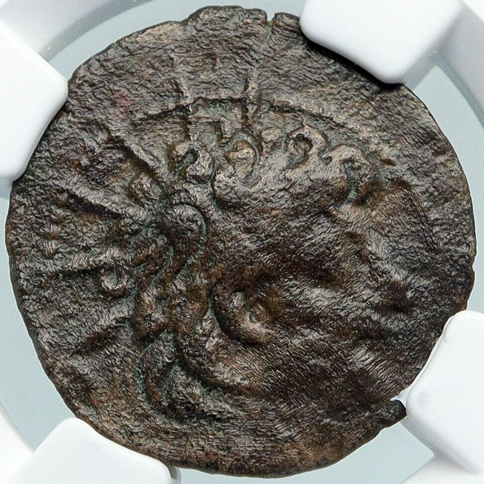 ALEXANDER II ZABINAS Seleukid Authentic Ancient Greek Coin CORNUCOPIA NGC i88357