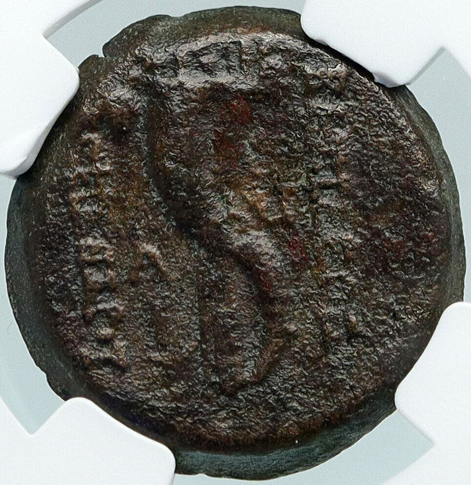 ALEXANDER II ZABINAS Seleukid Authentic Ancient Greek Coin CORNUCOPIA NGC i88357