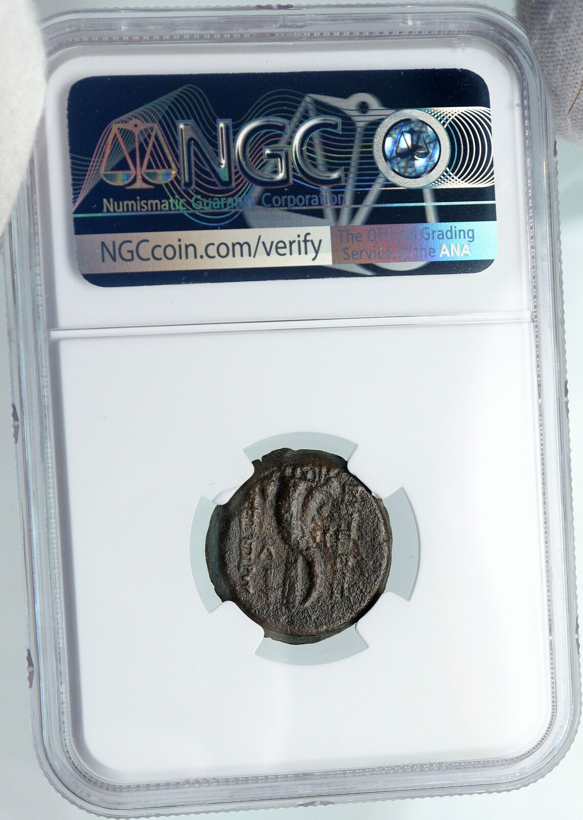 ALEXANDER II ZABINAS Seleukid Authentic Ancient Greek Coin CORNUCOPIA NGC i88357