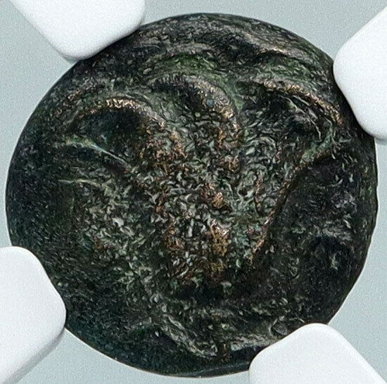 RHODES Greek Island Off Caria Ancient 188BC HELIOS ROSEBUD NGC Greek Coin i88356