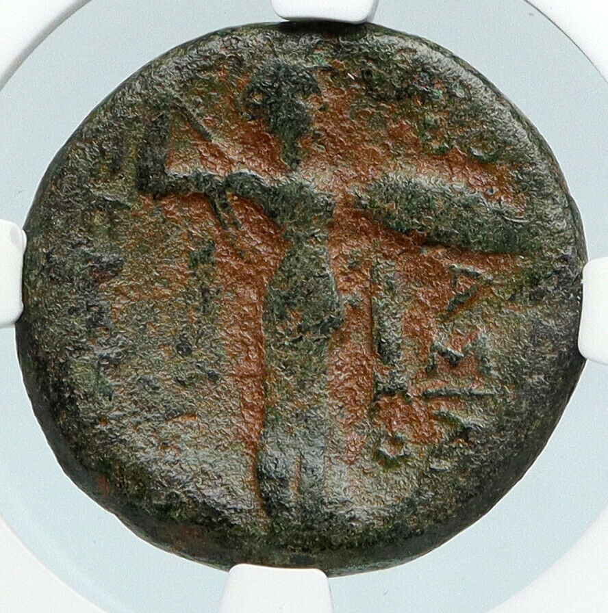 SELEUKOS I Nikator 300BC Authentic Ancient SELEUKID Greek Coin ATHENA NGC i89767