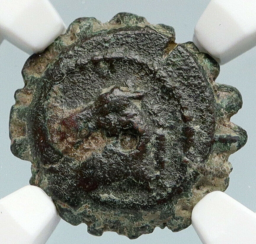 DEMETRIOS I Soter Ancient Seleukid Greek Antqiue HORSE ELEPHANT Coin NGC i89762