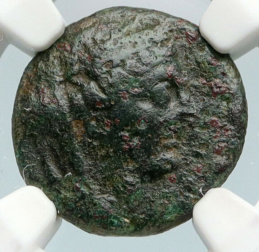 APAMEIA in SELEUKIS PIEREA Authentic Ancient 74BC Greek Coin DEMETER NGC i89766