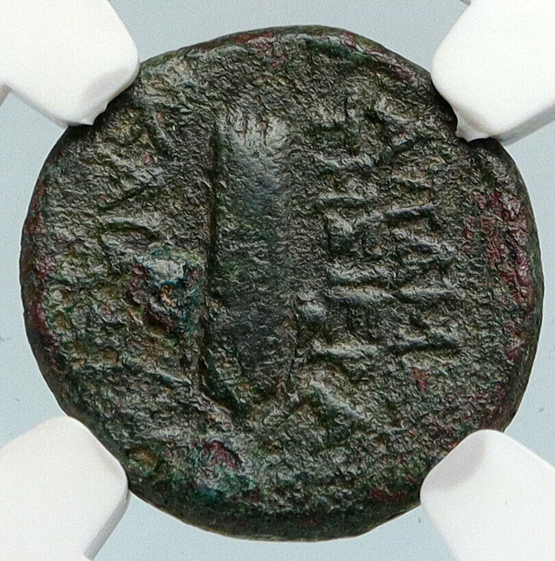 APAMEIA in SELEUKIS PIEREA Authentic Ancient 74BC Greek Coin DEMETER NGC i89766