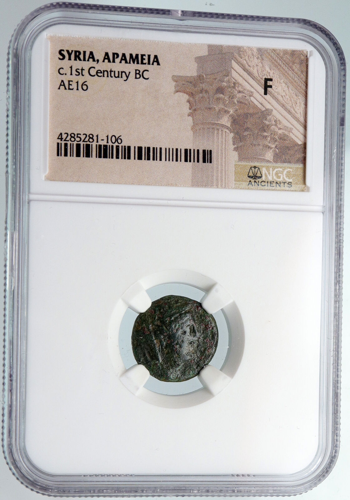 APAMEIA in SELEUKIS PIEREA Authentic Ancient 74BC Greek Coin DEMETER NGC i89766