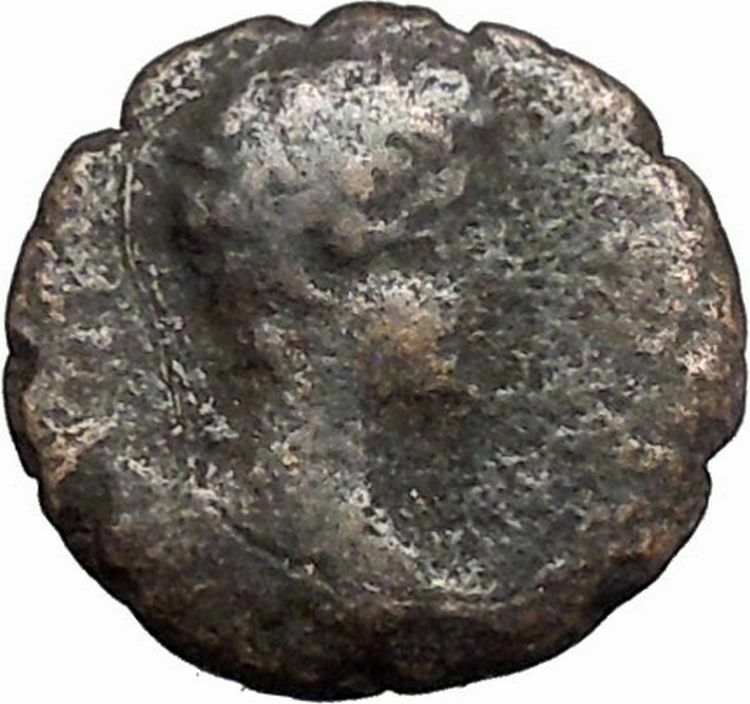 CARACALLA Nicopolis ad Istrum Rare Ancient Roman Coin Two cornucopias i49423