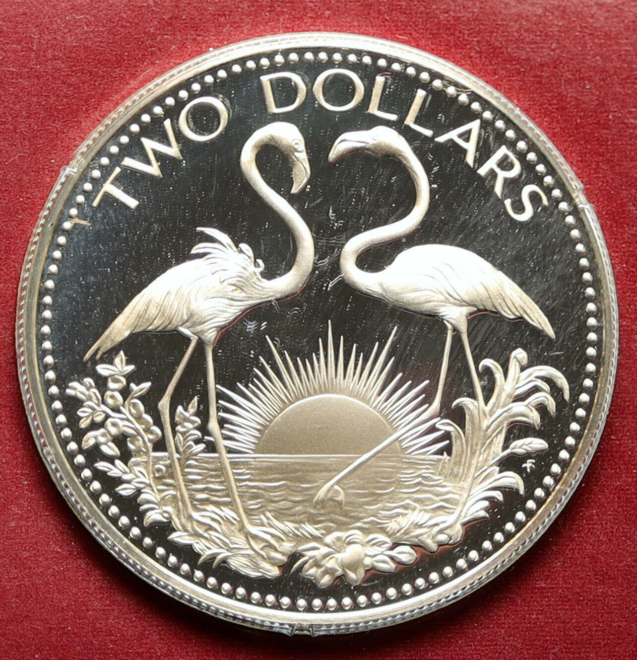 1975 The BAHAMAS Islands TWO FLAMINGOS Vintage Proof Silver 2 Dollar Coin i95776