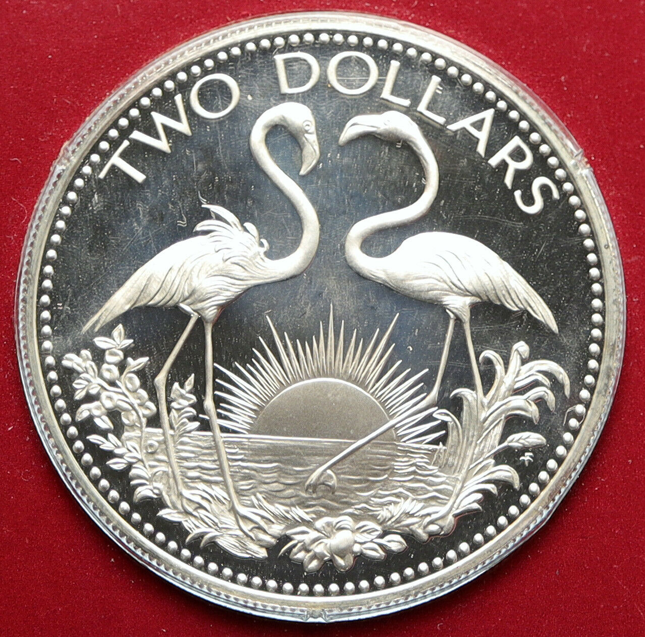 1978 The BAHAMAS Islands TWO FLAMINGOS Vintage Proof Silver 2 Dollar Coin i95775