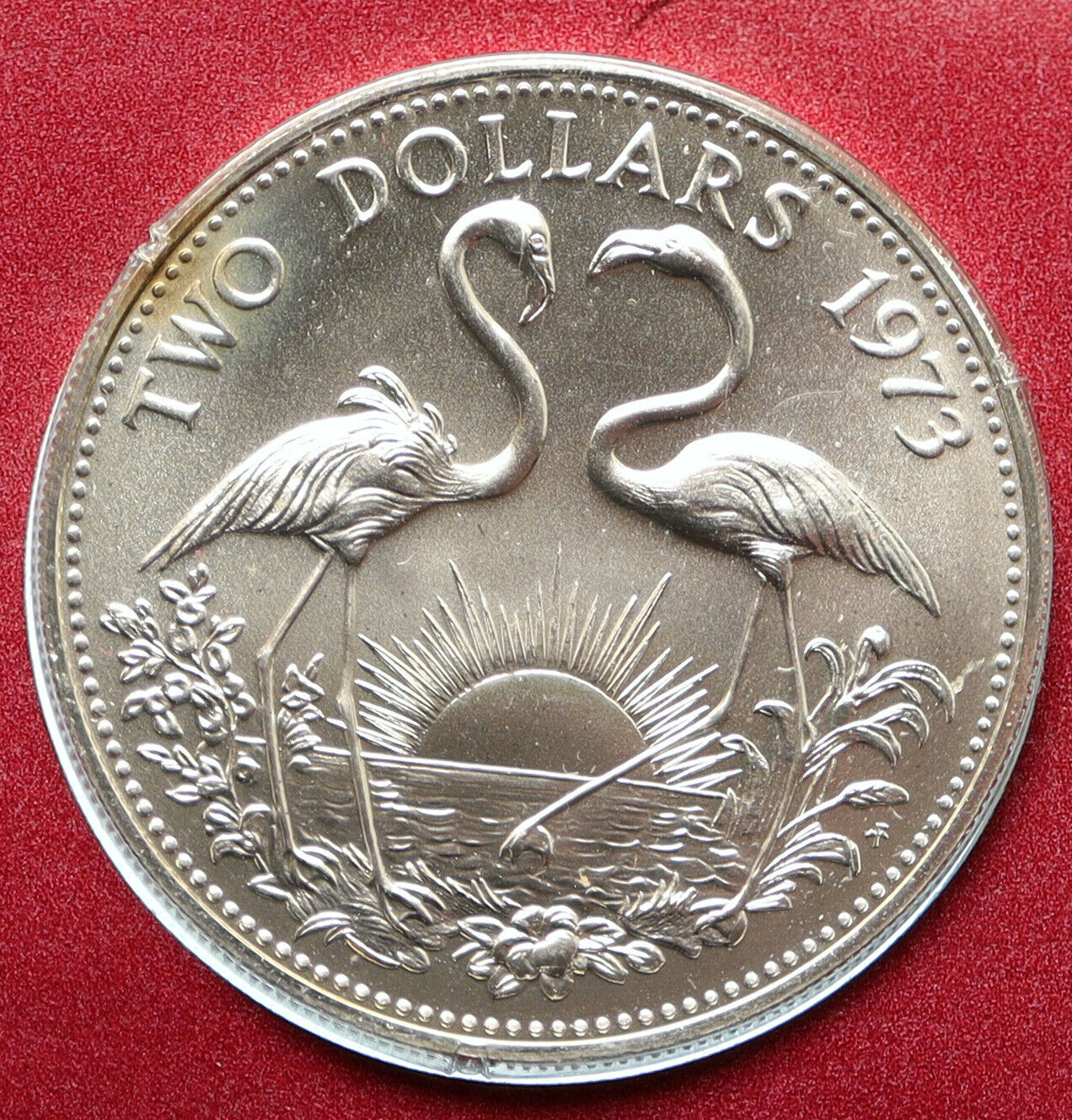 1973 The BAHAMAS Old Queen Elizabeth II FLAMINGO Old Proof Silver $2 Coin i95777