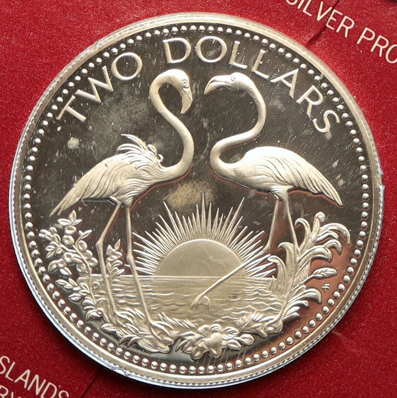 1974 The BAHAMAS Islands TWO FLAMINGOS Vintage Proof Silver 2 Dollar Coin i95781