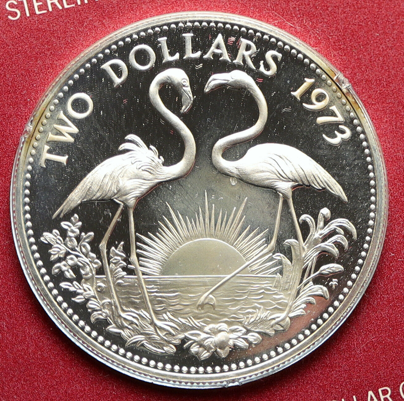 1973 The BAHAMAS Old Queen Elizabeth II FLAMINGO Old Proof Silver $2 Coin i95782