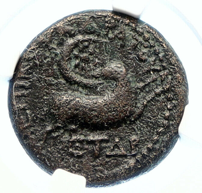 NERO Authentic Ancient 54AD Antioch OLD Original Roman Coin TYCHE RAM NGC i94474