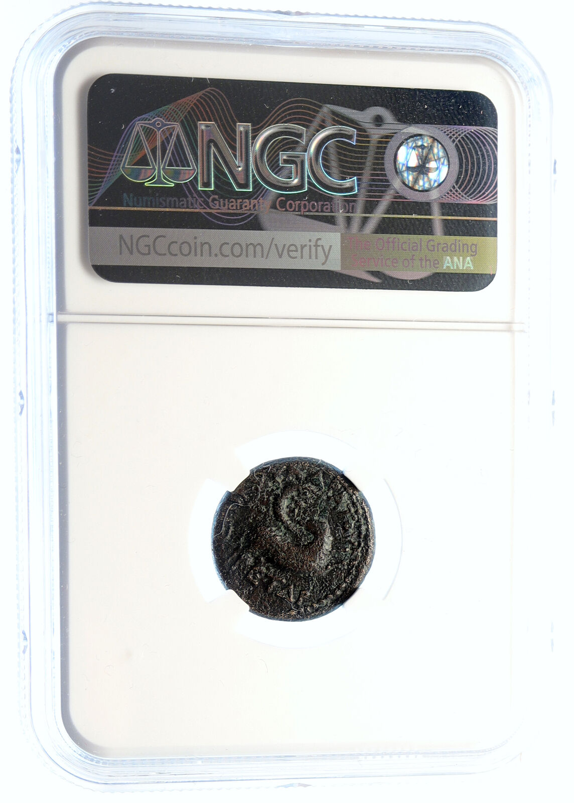 NERO Authentic Ancient 54AD Antioch OLD Original Roman Coin TYCHE RAM NGC i94474