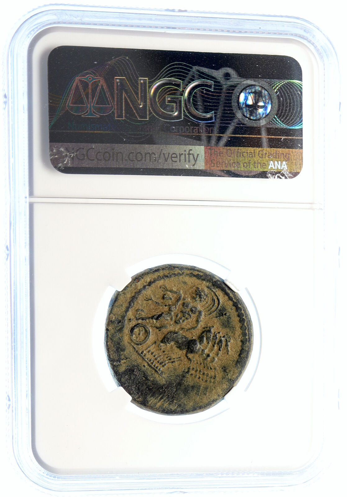 Hierapolis in Phrygia ANTIQUE Authentic Ancient Roman Coin CHARIOTS NGC i96170