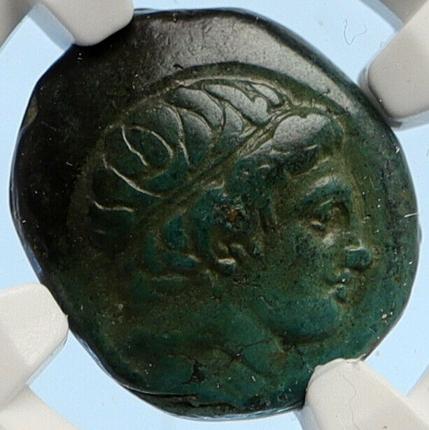 MACEDONIA of Philip II Ancient OLD Greek Coin Apollo OLYMPIC Horse NGC i95643