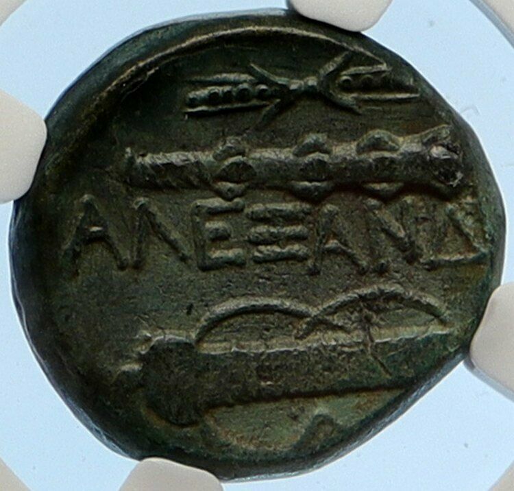 ALEXANDER III the GREAT Macedonia Ancient Greek Coin HERCULES CLUB NGC i95644