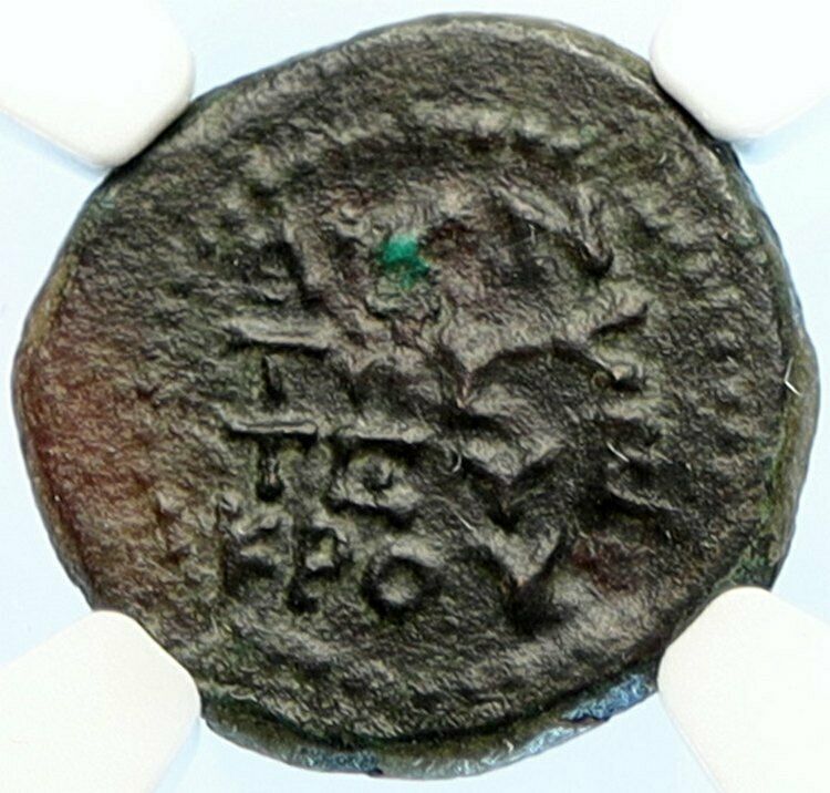 OLBA Cilicia Ajax High Priest Augustus Time 10AD ANCIENT Greek Coin NGC i94466