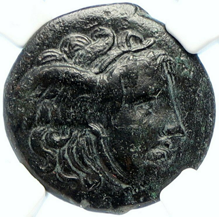 SELEUKOS I Nikator 312BC Ancient SELEUKID Greek Coin MEDUSA & BULL NGC i94465