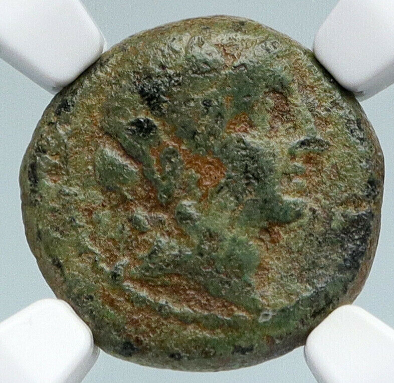 Alexander I Balas Seleucid Kingdom OLD Ancient Greek Coin ELEPHANT NGC i89752