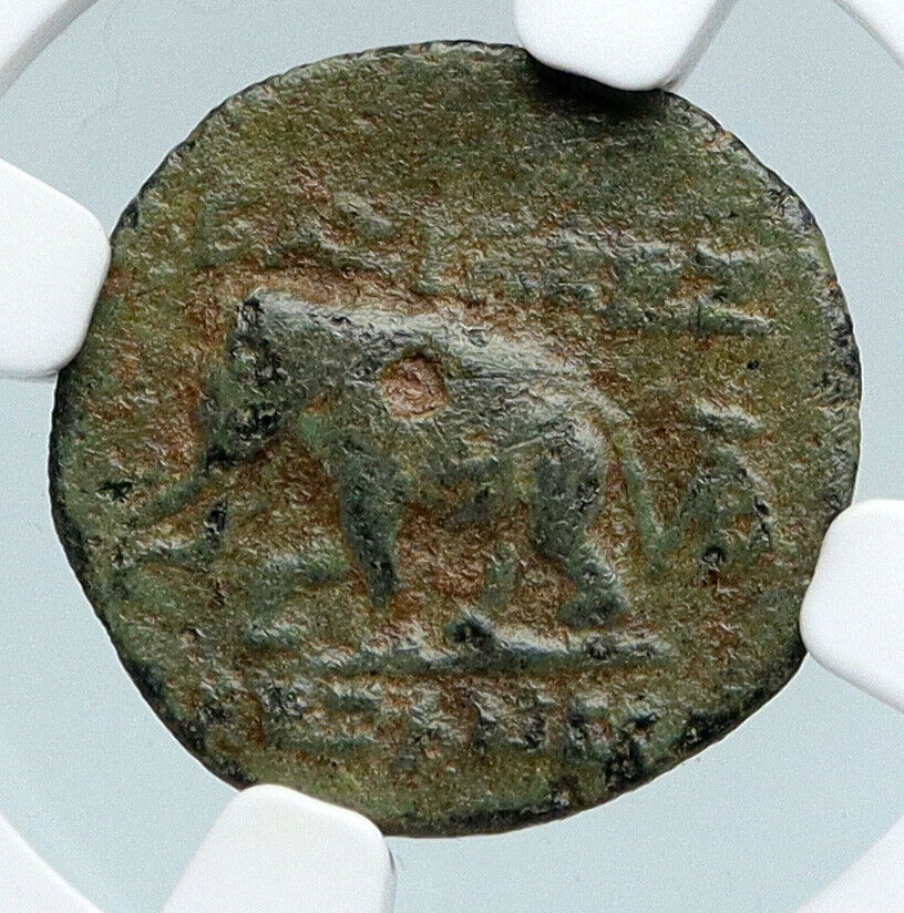 Alexander I Balas Seleucid Kingdom OLD Ancient Greek Coin ELEPHANT NGC i89752