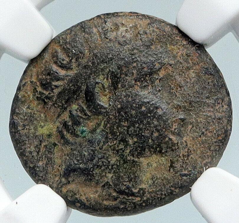 SELEUKOS II Kallinikos 246BC OLD Ancient SELEUKID Greek Coin HORSE NGC i89750